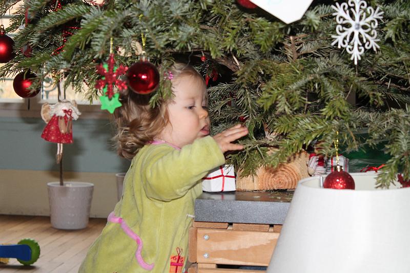 2013-12-27 Zelie en vadrouille, les frangins 011.JPG